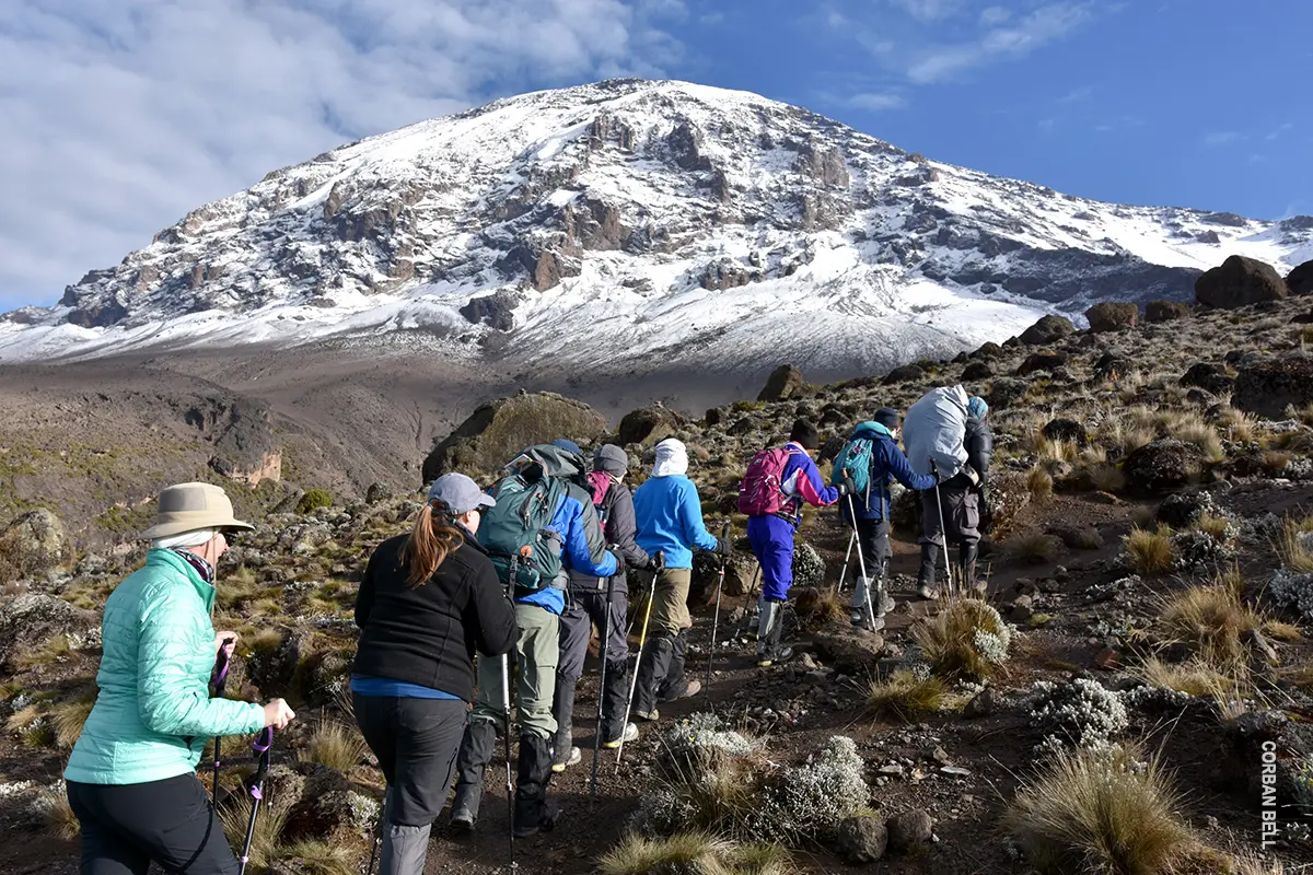 Trekkers approaching the snow-capped summit of Kilimanjaro