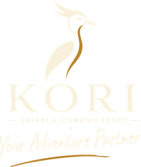 Kori Safari & Climbing Tours